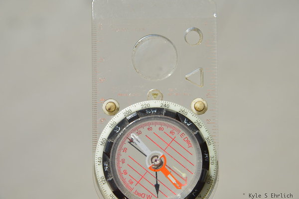 DSK 1901