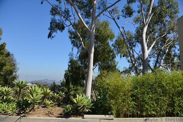DSC 5203