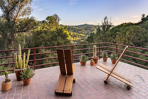 modern-treehouse-8