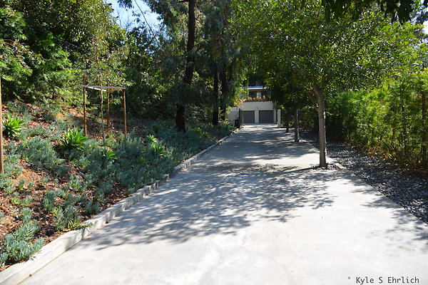 DSC 5818