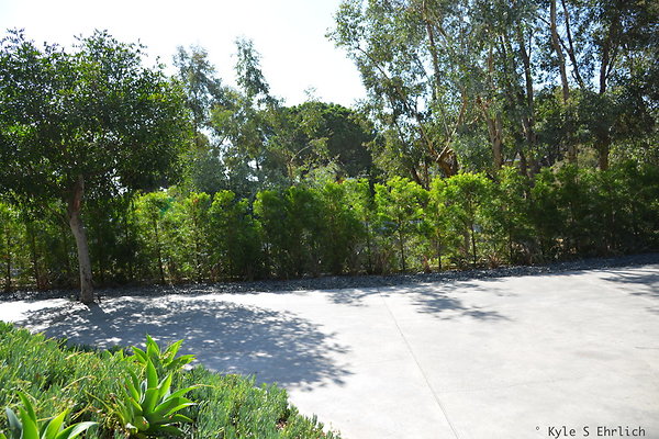 DSC 5787