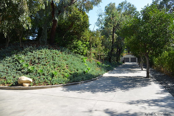DSC 5732