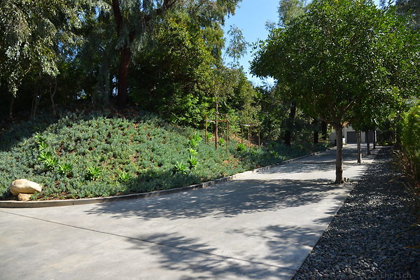 DSC 5705