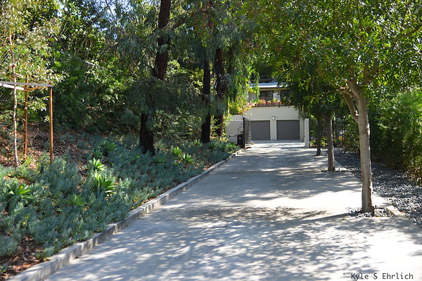 DSC 5819