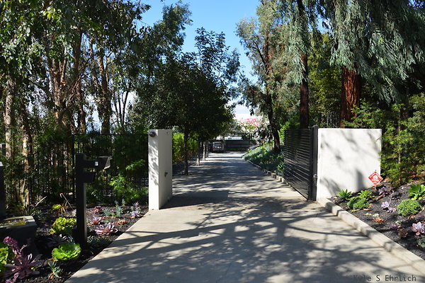 DSC 5832