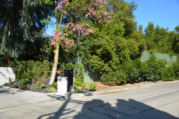 DSC 5839