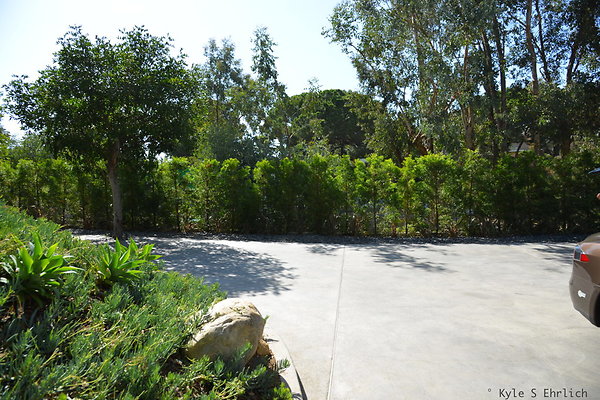DSC 5715