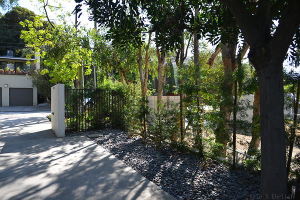 DSC 5826
