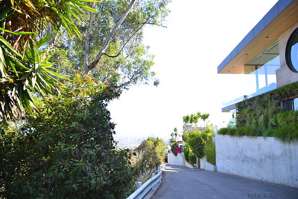 DSC 5906