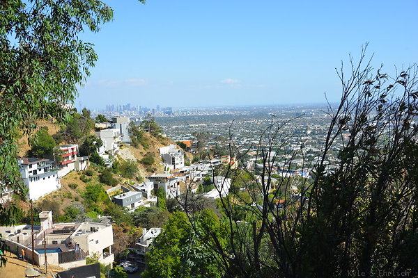 DSC 6010