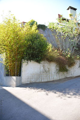 DSC 5899