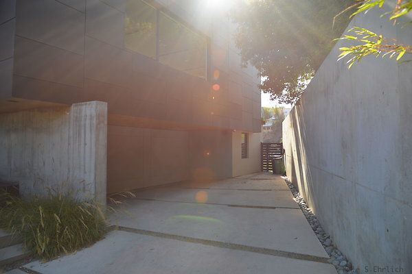 DSC 5955