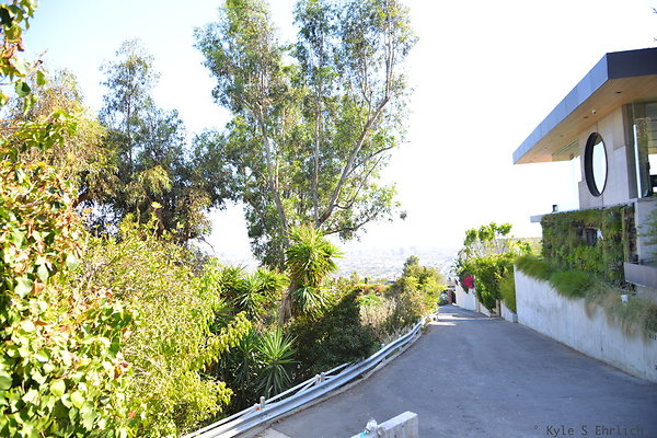DSC 5885
