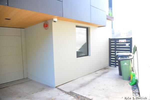 DSC 5918