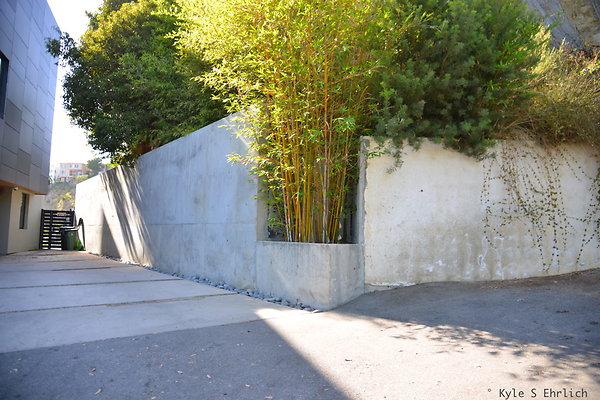 DSC 5943