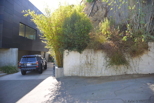 DSC 5887