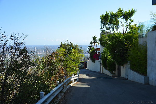 DSC 6011