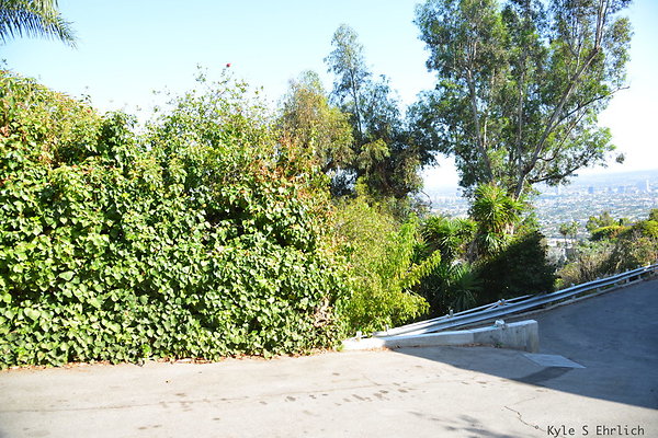 DSC 5944