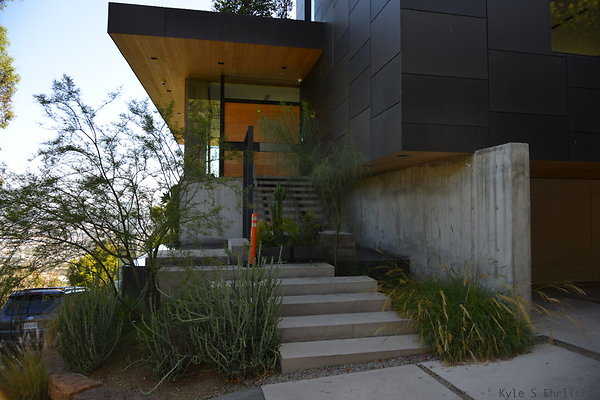 DSC 5954