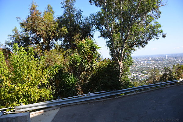 DSC 5903