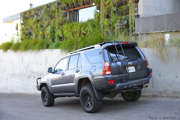 DSC 5934