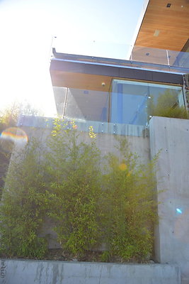 DSC 6019