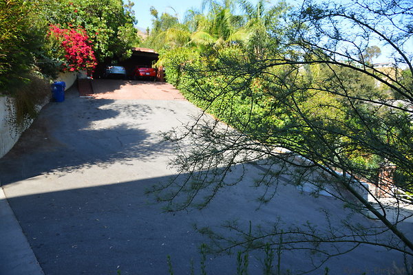 DSC 5930