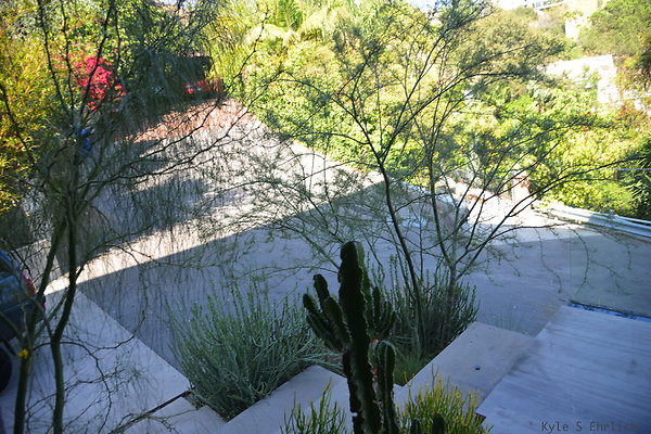 DSC 5922