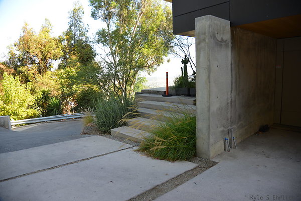 DSC 5967