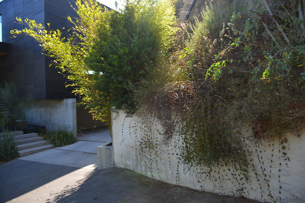 DSC 5946