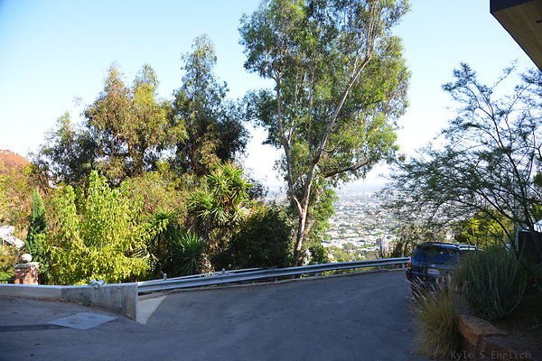 DSC 5953