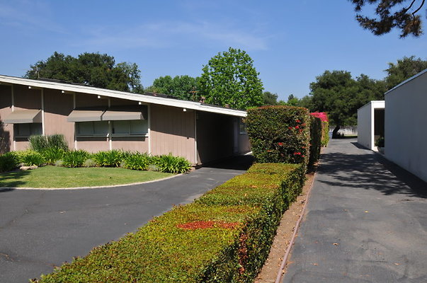 DSC 5371
