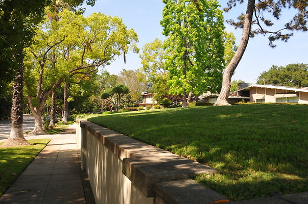 DSC 5412