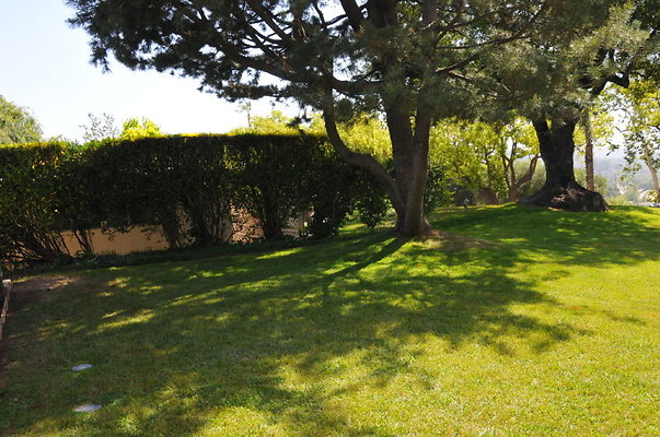 DSC 5384