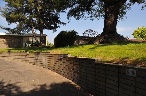 DSC 5408
