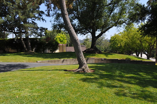 DSC 5368