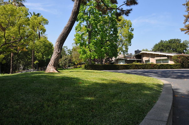 DSC 5391