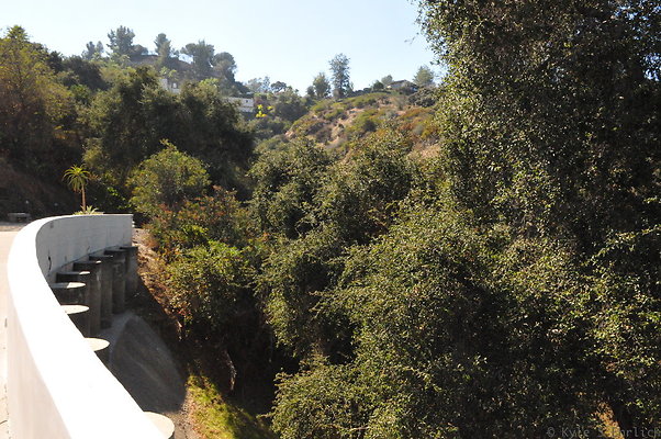 DSC 4089