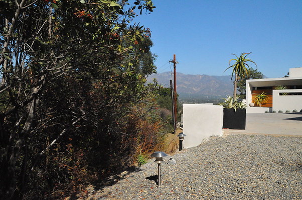 DSC 4169