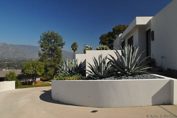 DSC 4154