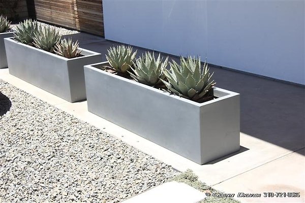 IMG 0759