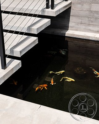 modern-472-5