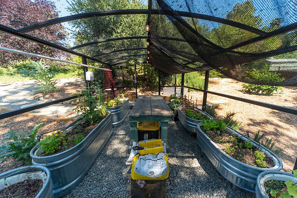 12768 greenhouse 7