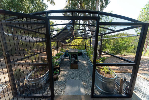 12768 greenhouse 5