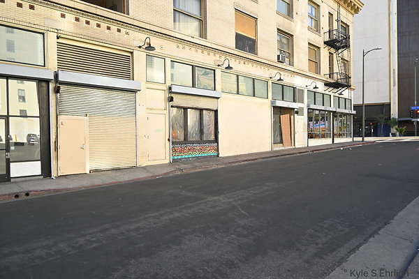DSC 7687