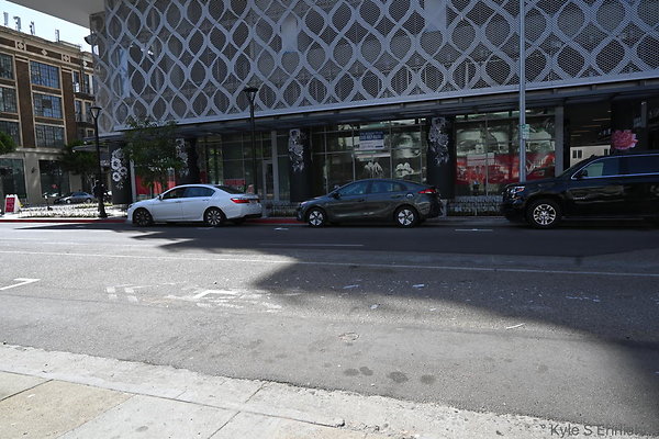 DSC 4199