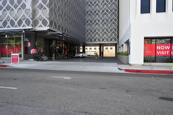 DSC 4350