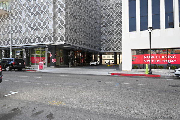 DSC 4337