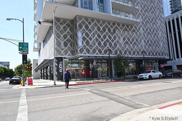 DSC 4233