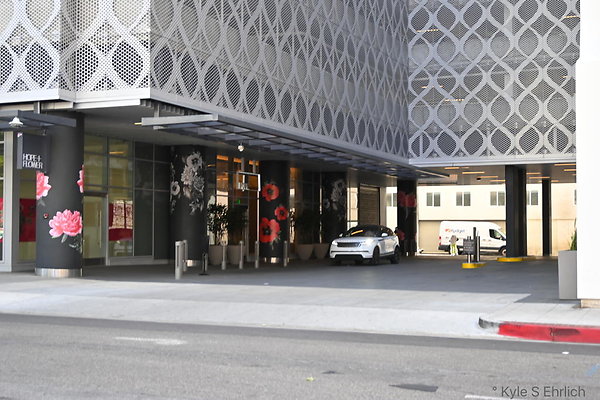 DSC 4339